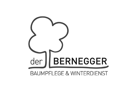 Der Bernegger